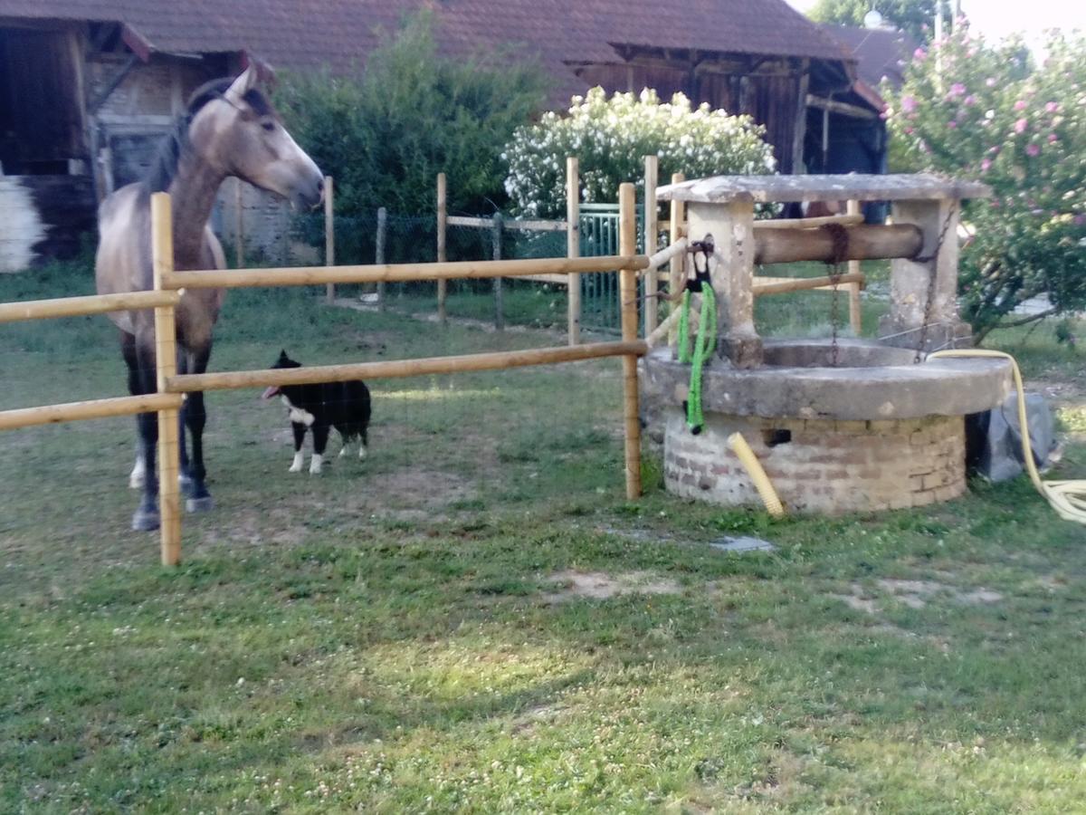 Отель La Ferme De La Chassagne Devrouze Экстерьер фото